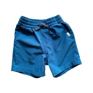 Quicksilver Kids Amphibian Blue Shorts